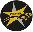 Staryen Tech Private Limited logo
