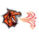company-logo