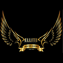 Ellite Aviation Academy logo