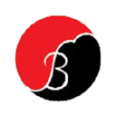 JSB Engineering Co.