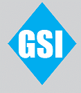 GSI Infinity Solutions logo