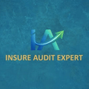 Insure Audit Expert