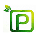 Square Paper Corporation