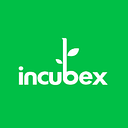 Incubex Business Consulting Services Private Limited logo