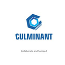 Culminant Executive Services Private Limited