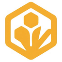 Honeythorn Systems Private Limited logo