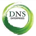 DNS Enterprises logo