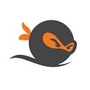 Self Made Ninja Academy logo