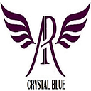 Attractive Reverse (Opc) Private Limited logo