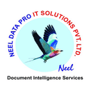 Neel Data Pro IT Solutions Private Limited